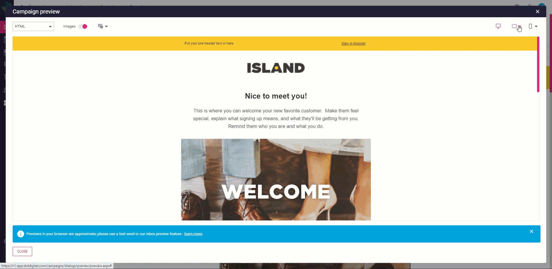 Image of Dotdigital's campaign preview tool