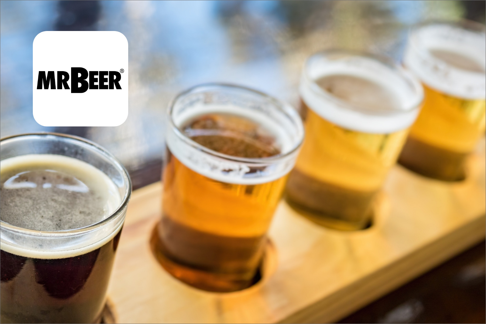 Dotdigital | Mr Beer Case Study - Featured Thumbnail